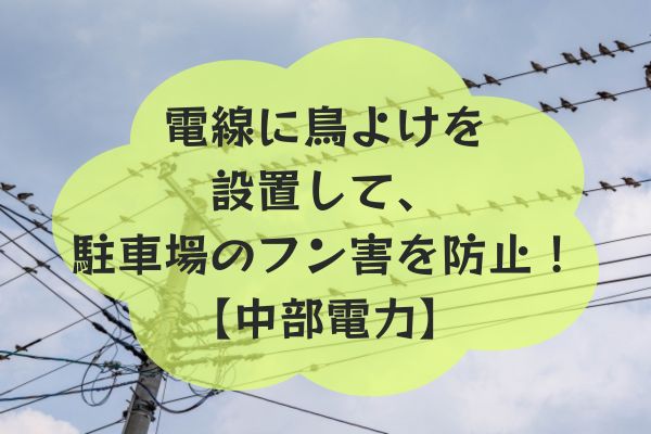 電線に鳥よけを設置