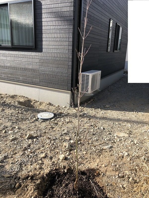 f:id:tokaman0105:20200406072323j:plain f:id:tokaman0105:20200406072323j:plain